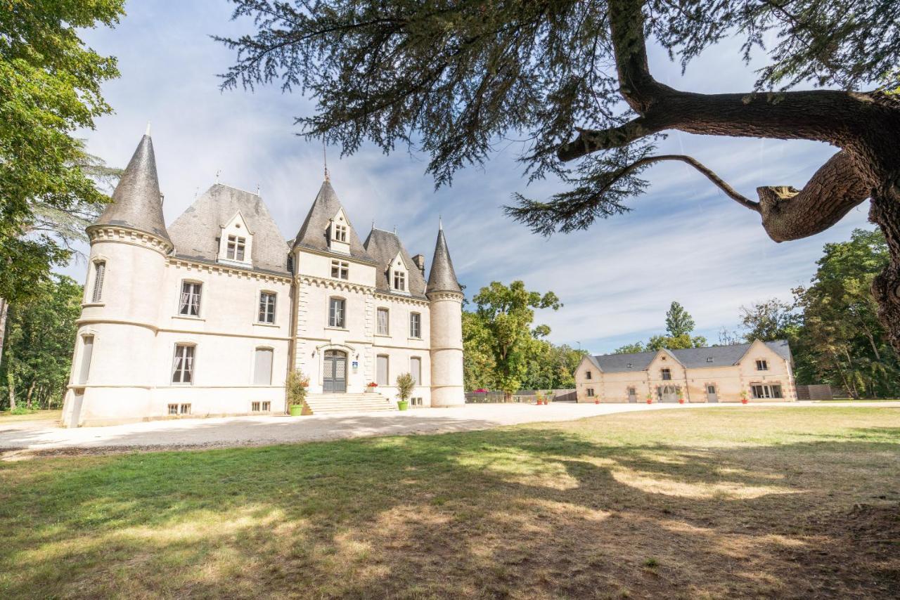 Chateau De Baillant - Futuroscope Saint-Martin-la-Pallu Экстерьер фото